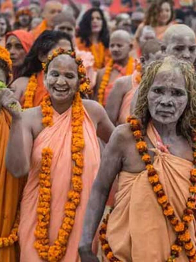 Maha kumbh mela  महा कुंभ मेला